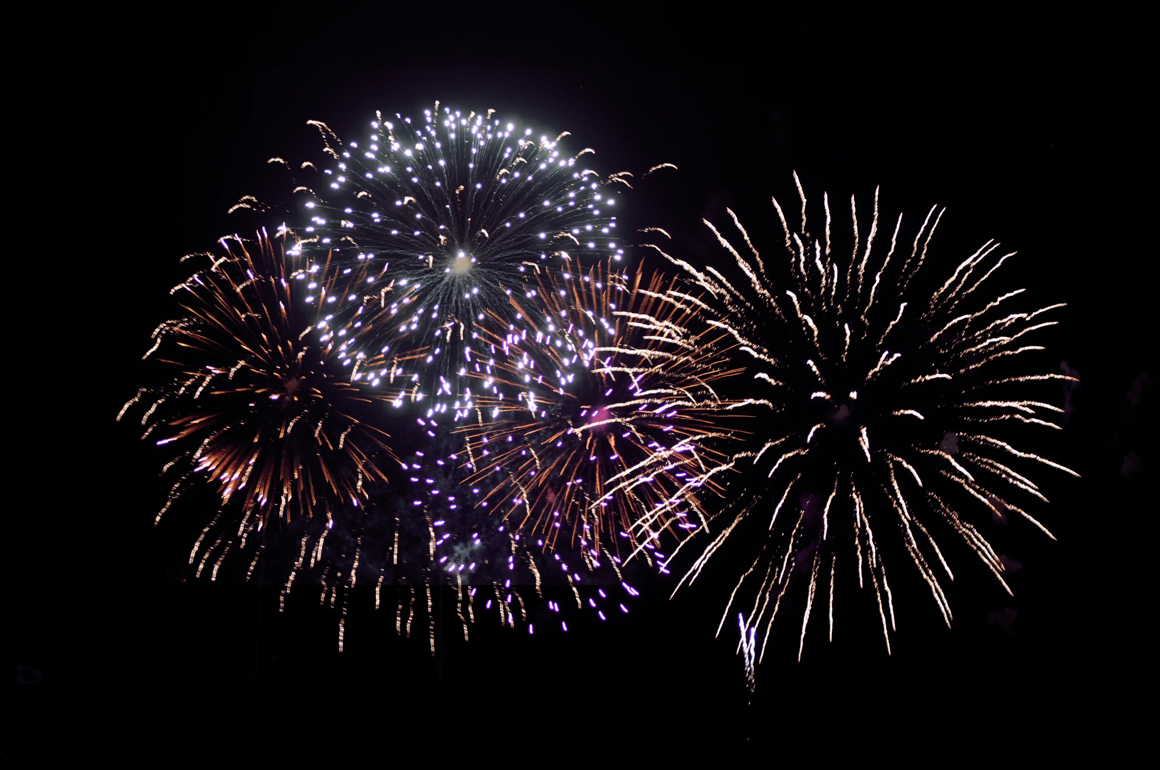Colorful fireworks explode in night sky with purple and gold bursts